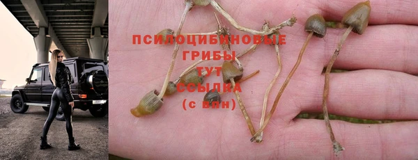 кокаин колумбия Армянск