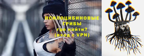 спайс Карпинск