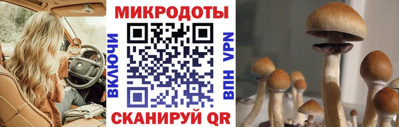 Галлюциногенные грибы MAGIC MUSHROOMS  нарко площадка состав  Кубинка 